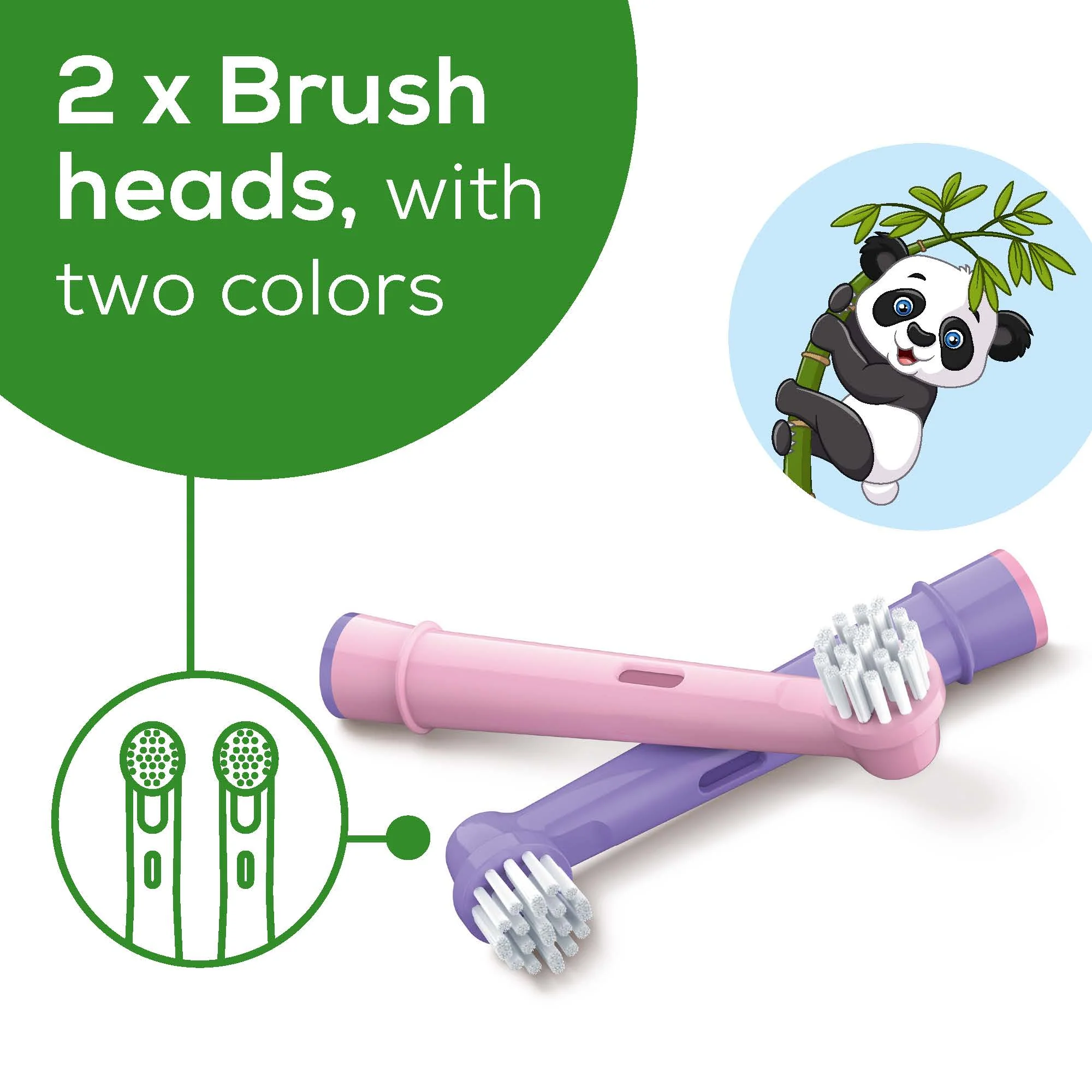 Polly the Panda Toothbrush Heads, TB10P BH - Image 4