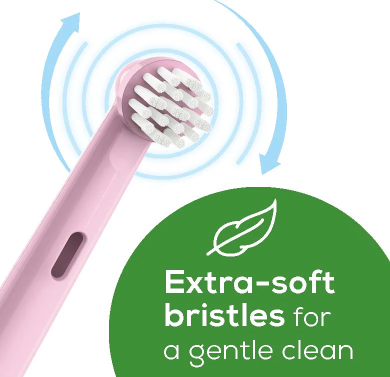 Polly the Panda Toothbrush Heads, TB10P BH - Image 5