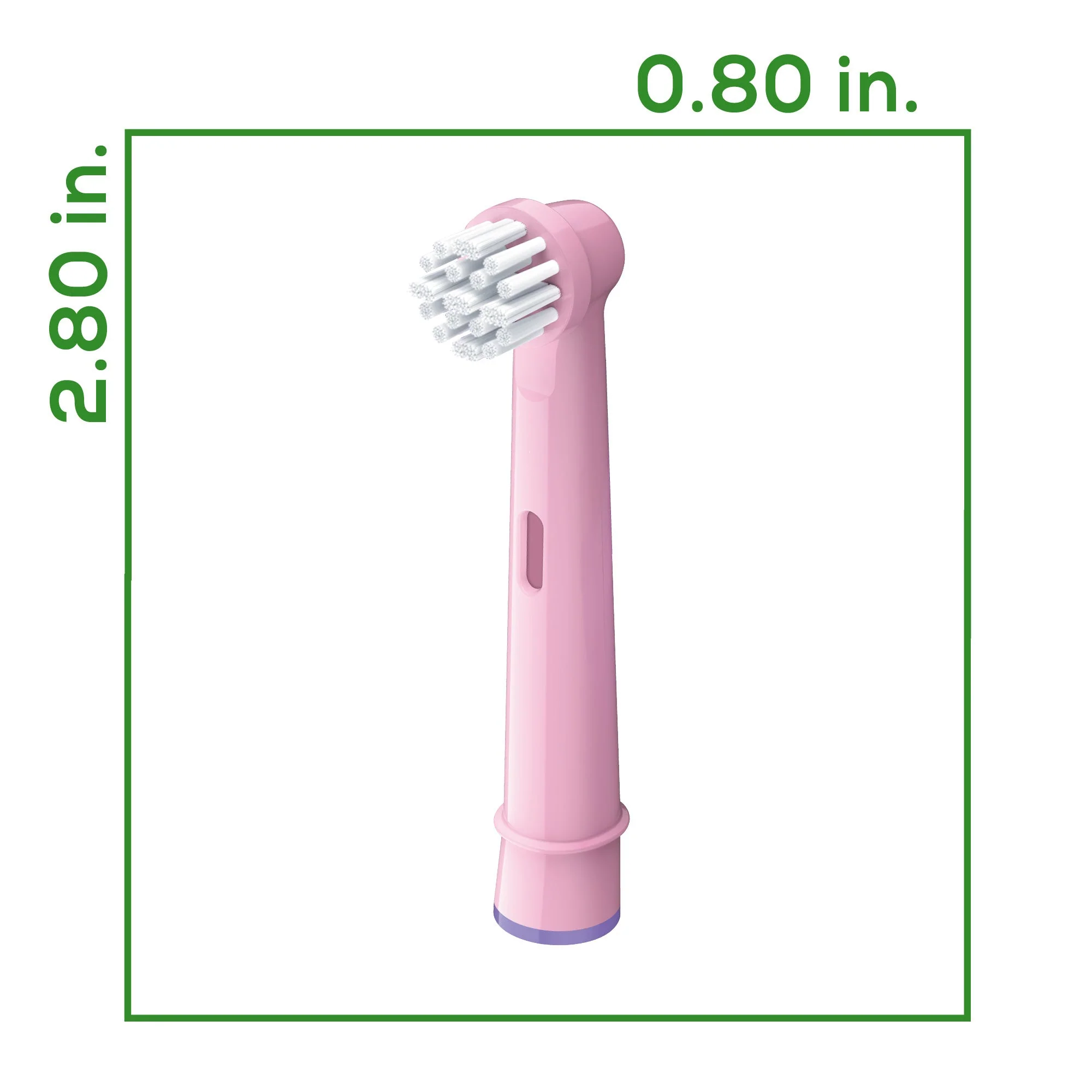 Polly the Panda Toothbrush Heads, TB10P BH - Image 8