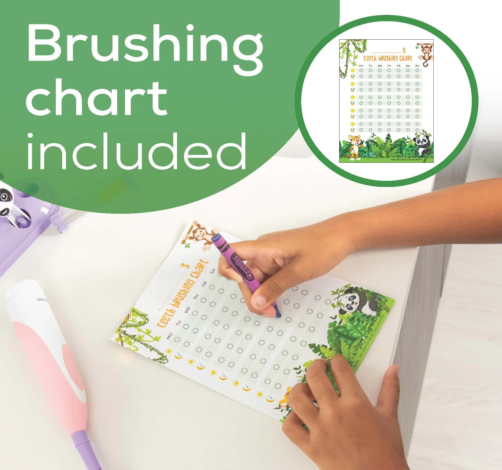 Polly the Panda Electric Toothbrush Set for Kids, TB10P - Image 7